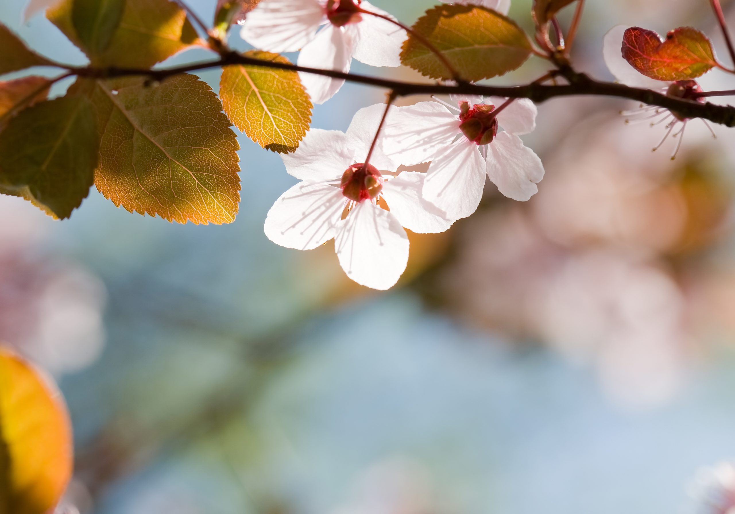 Charities we supported 2022