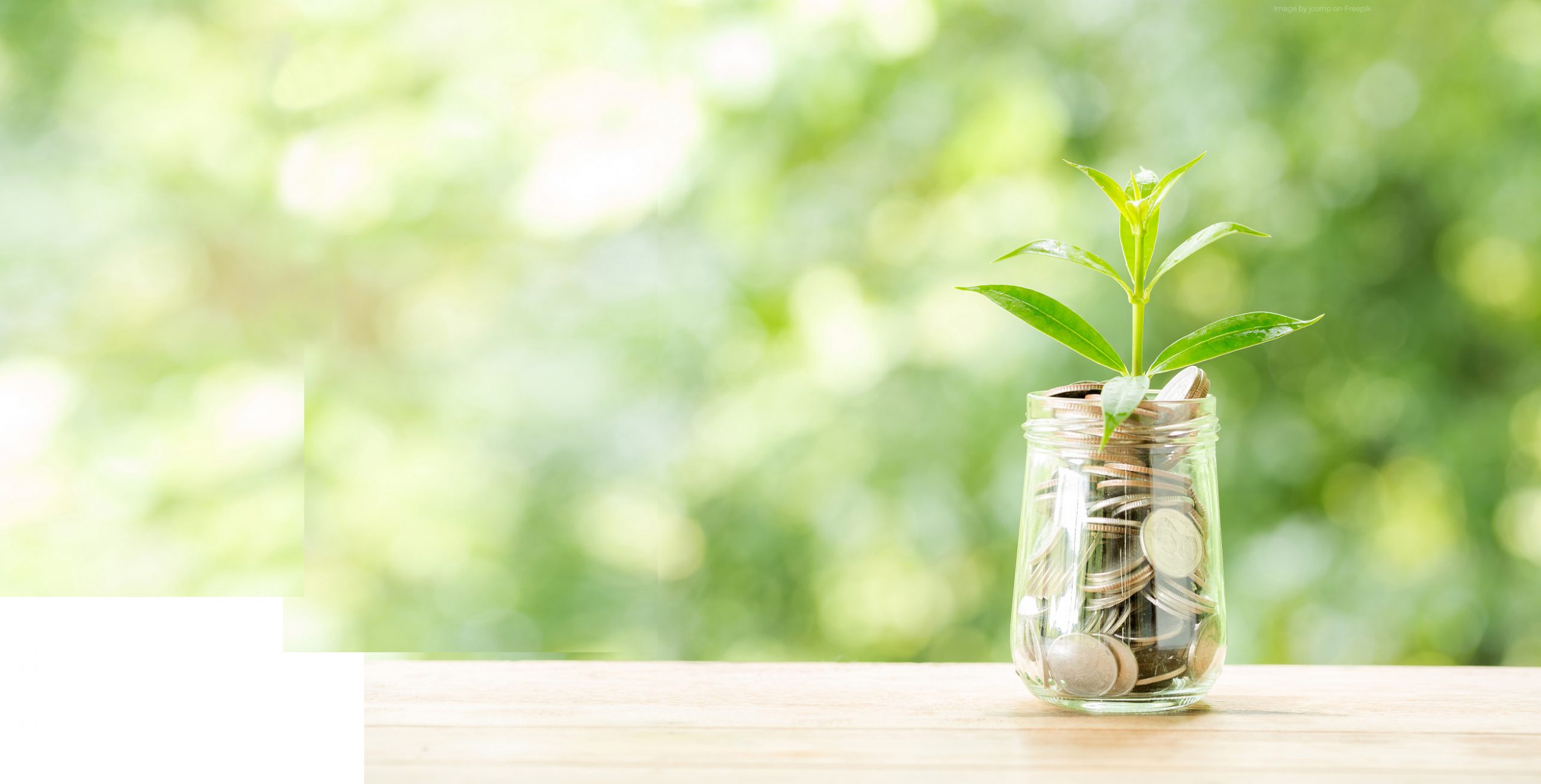 Charities we supported in 2023