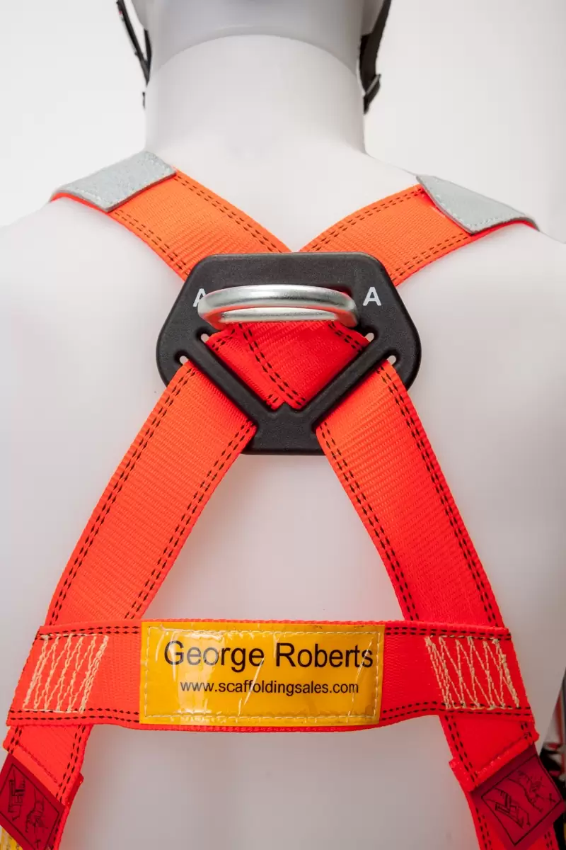 rear-of-harness-detail
