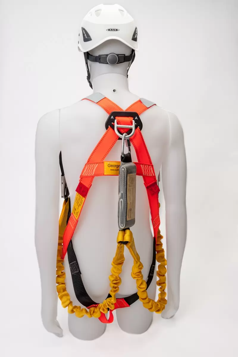rear-of-harness