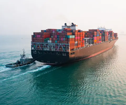 Talk to our export team
